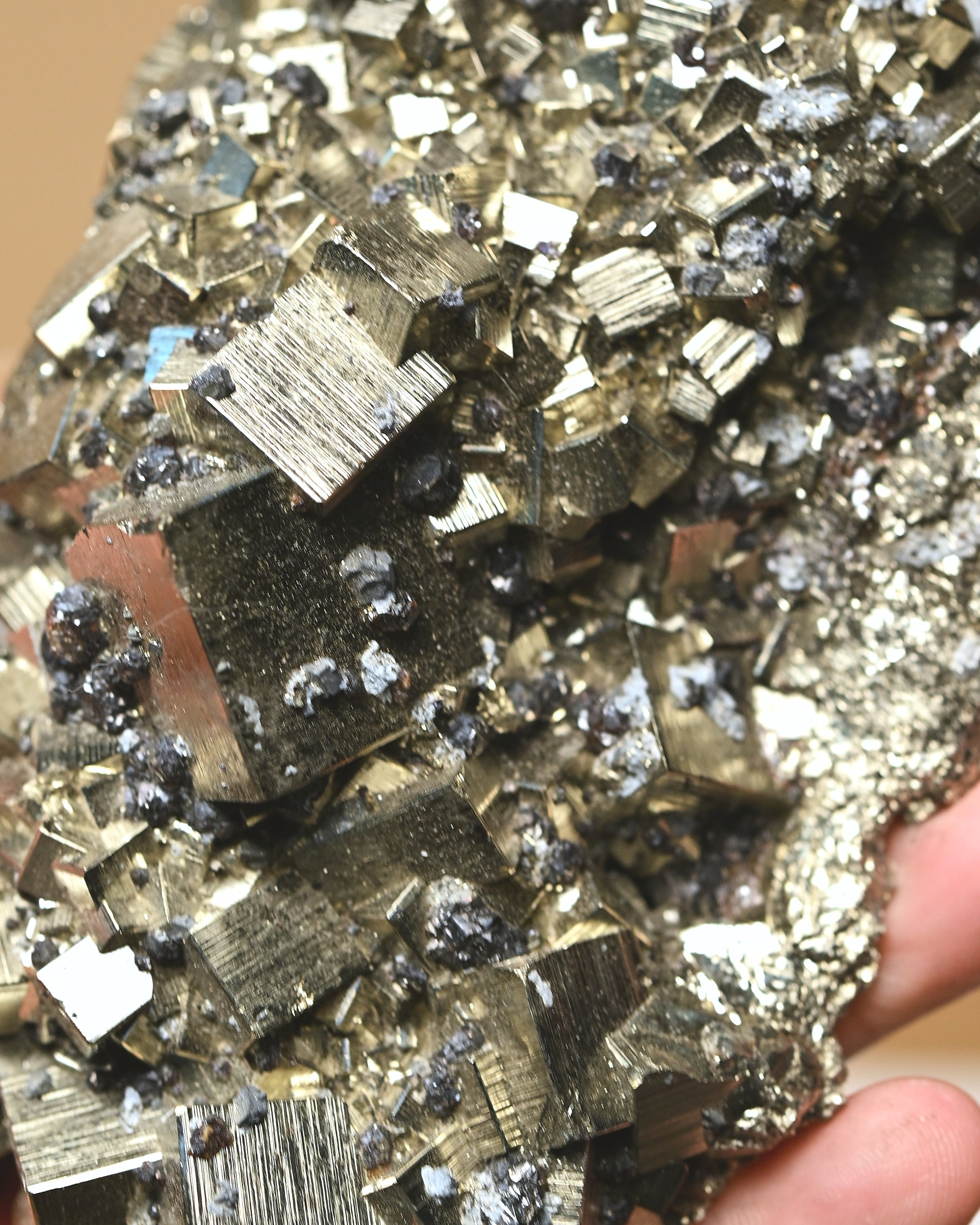 Cubic Pyrite w Galena 1.4lbs