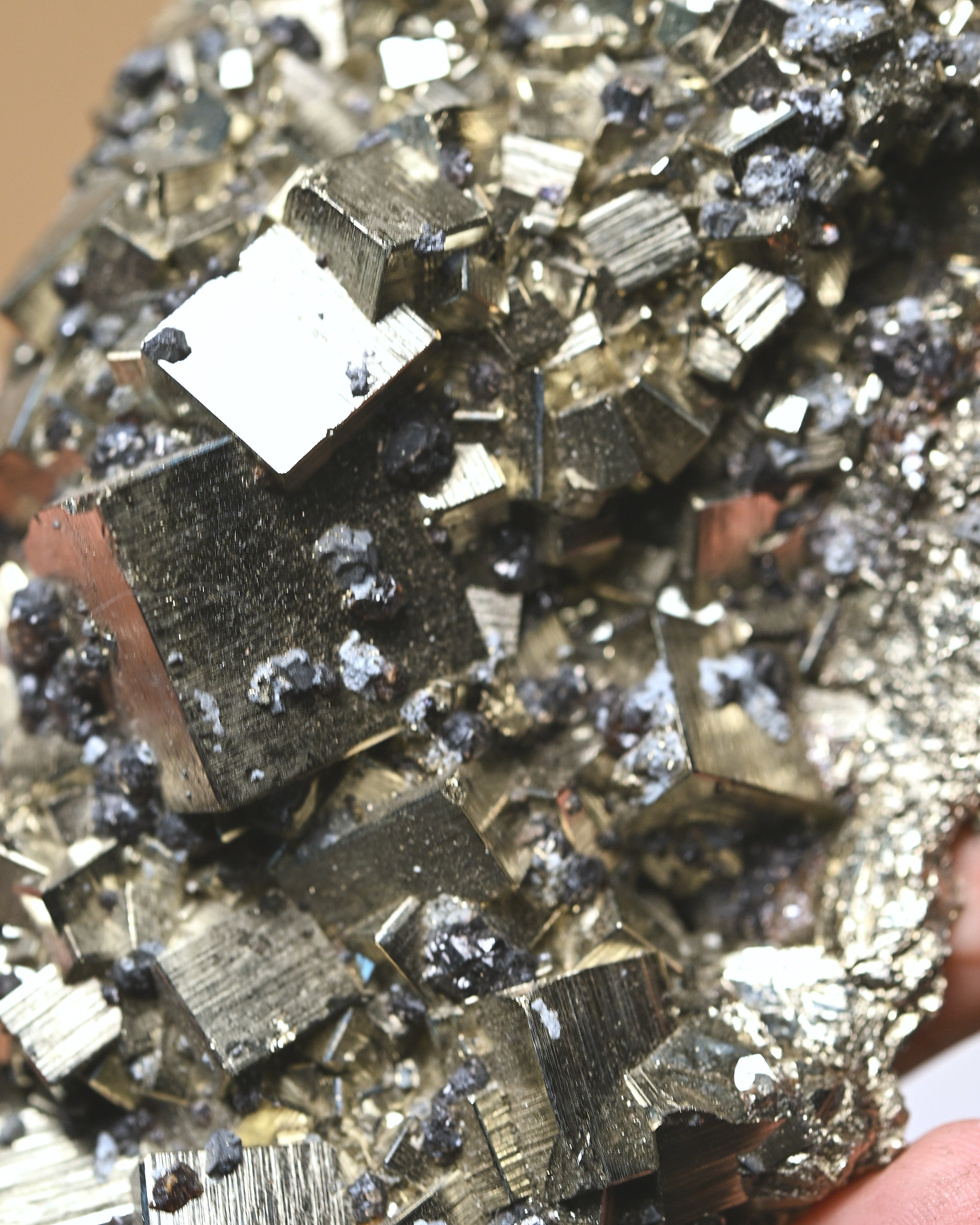 Cubic Pyrite w Galena 1.4lbs