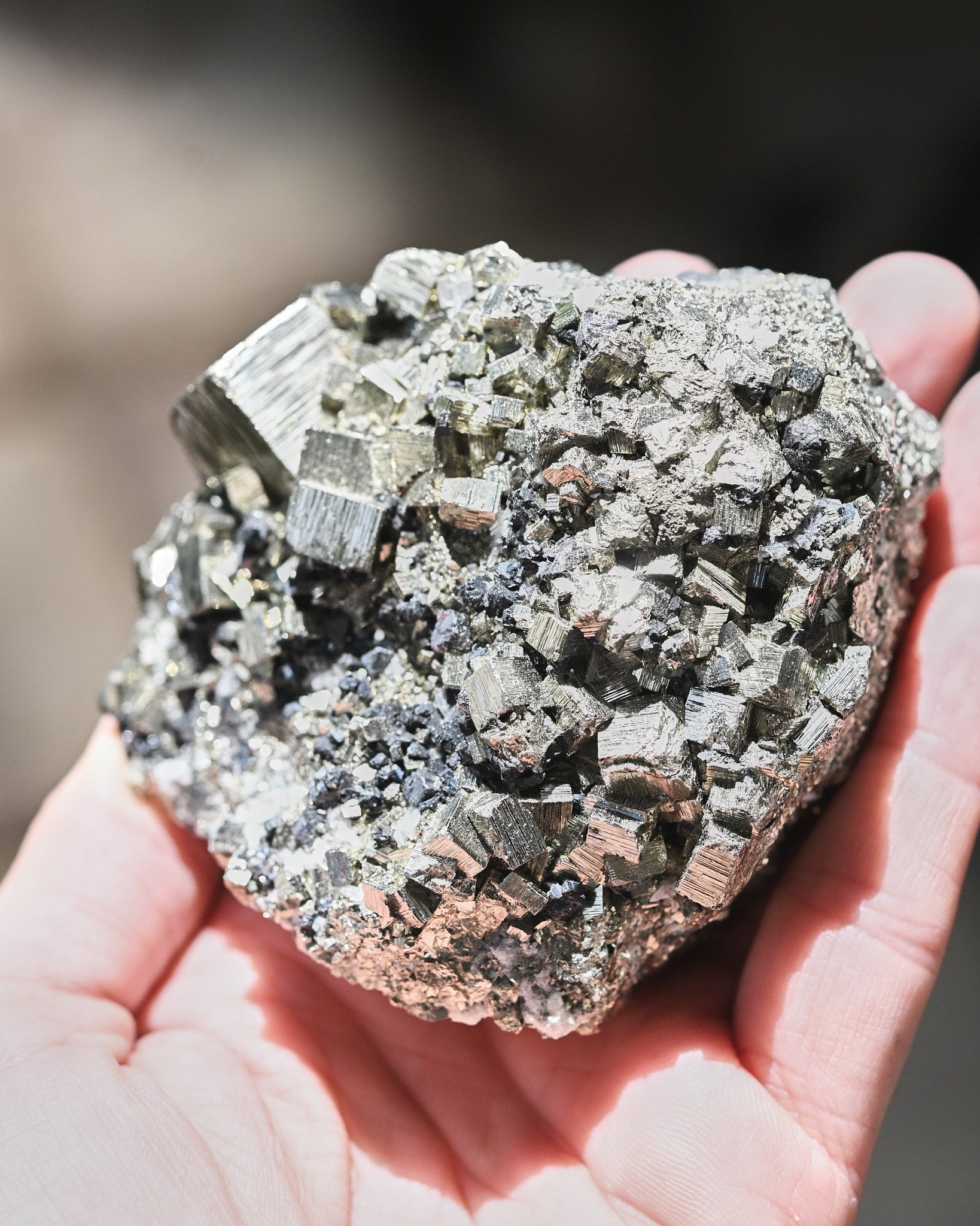 Pyrite Cubic Cluster 4in