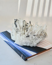 Hubnerite with Quartz 2.6lbs