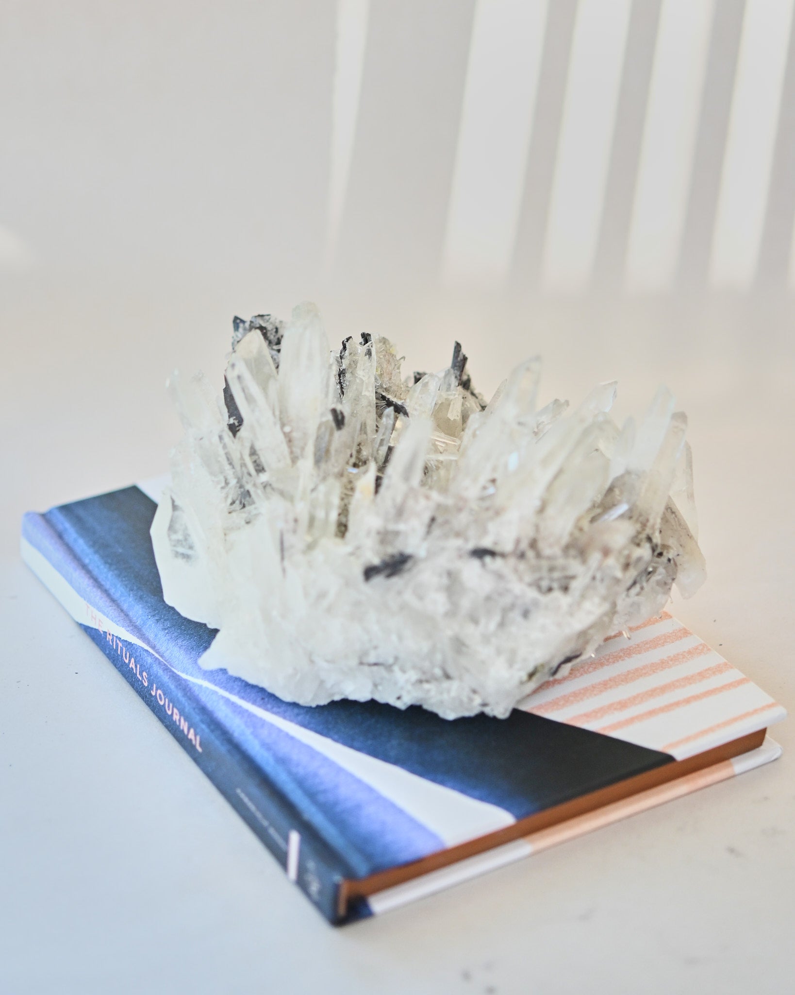 Hubnerite with Quartz 2.6lbs