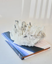 Hubnerite with Quartz 2.6lbs