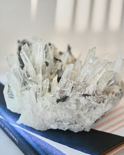 Hubnerite with Quartz 2.6lbs