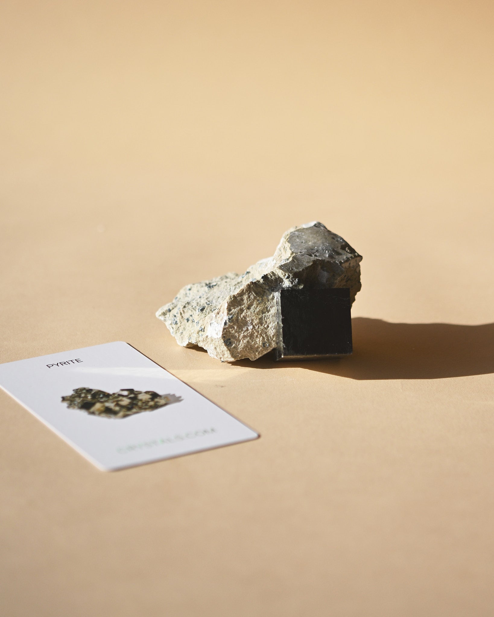 Pyrite on Matrix photo