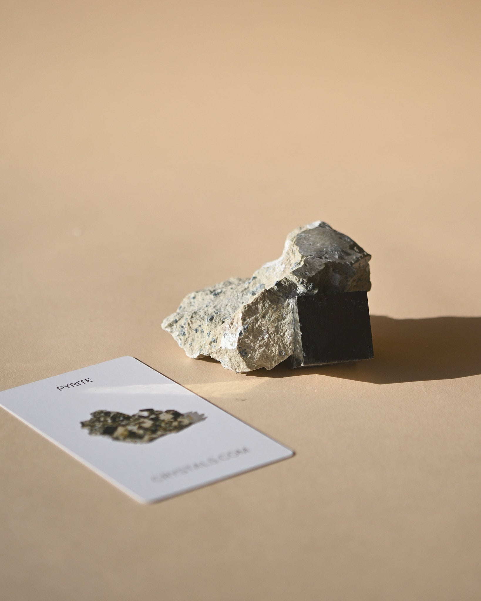 Pyrite on Matrix photo