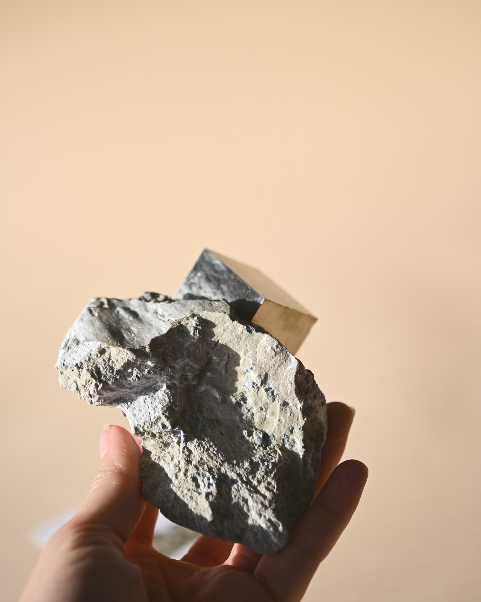 Pyrite on Matrix photo
