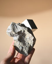Pyrite on Matrix photo