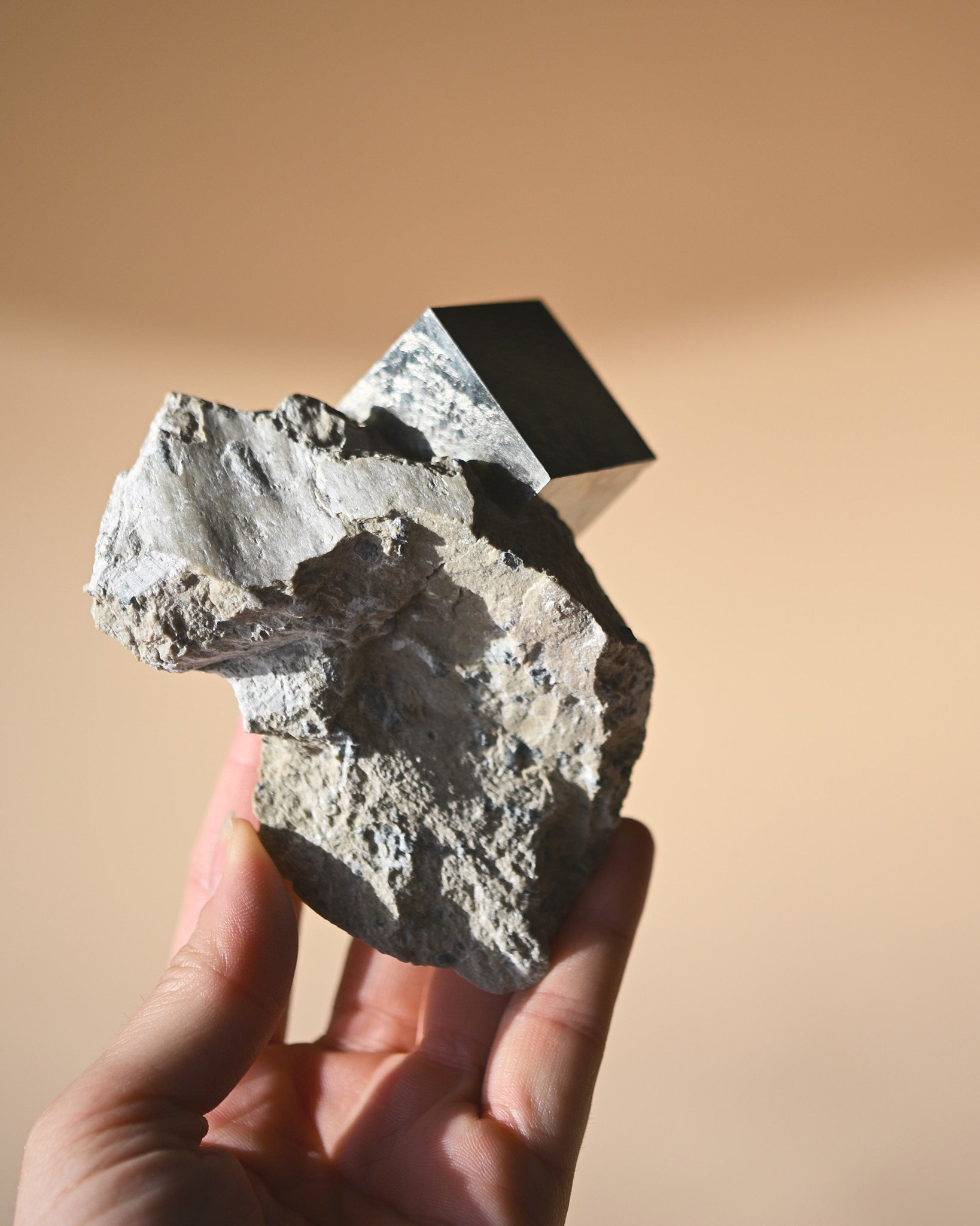 Pyrite on Matrix photo
