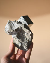 Pyrite on Matrix photo