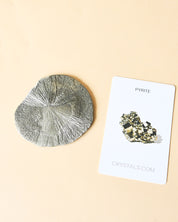 Illinois Pyrite Sun, Sparta