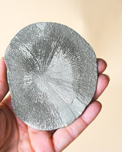 Illinois Pyrite Sun, Sparta