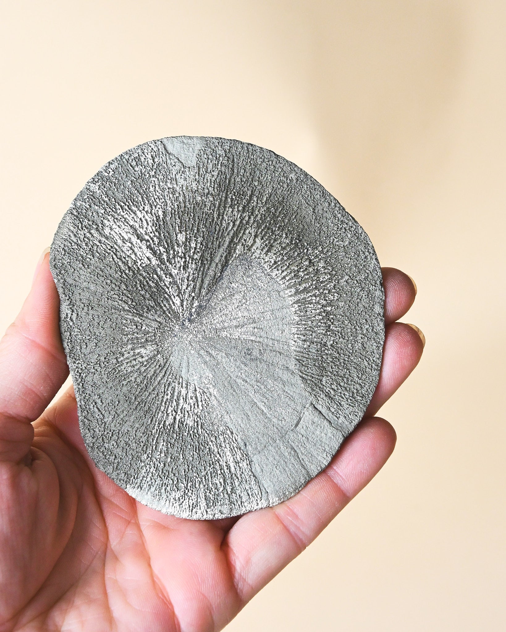 Illinois Pyrite Sun, Sparta