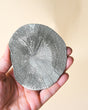 Illinois Pyrite Sun, Sparta 400g No. 133