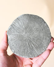 Illinois Pyrite Sun, Sparta