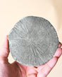 Illinois Pyrite Sun, Sparta 400g No. 170