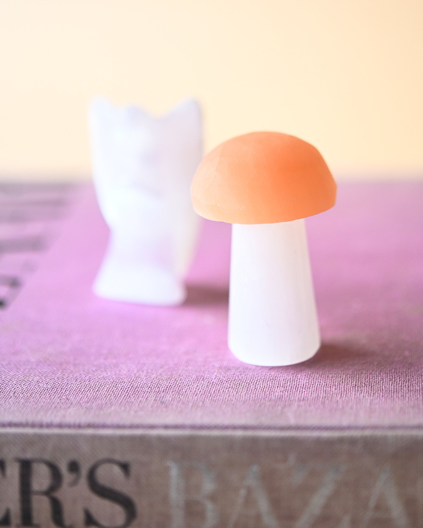 Two-Tone Selenite Mushroom - selenite crystal in natural light