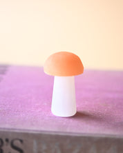 Two-Tone Selenite Mushroom - selenite crystal close up detail