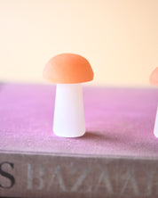 Two-Tone Selenite Mushroom - selenite crystal scale view