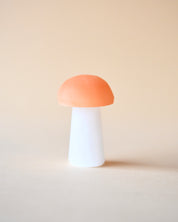 Two-Tone Selenite Mushroom - selenite crystal for sale at Crystals.com