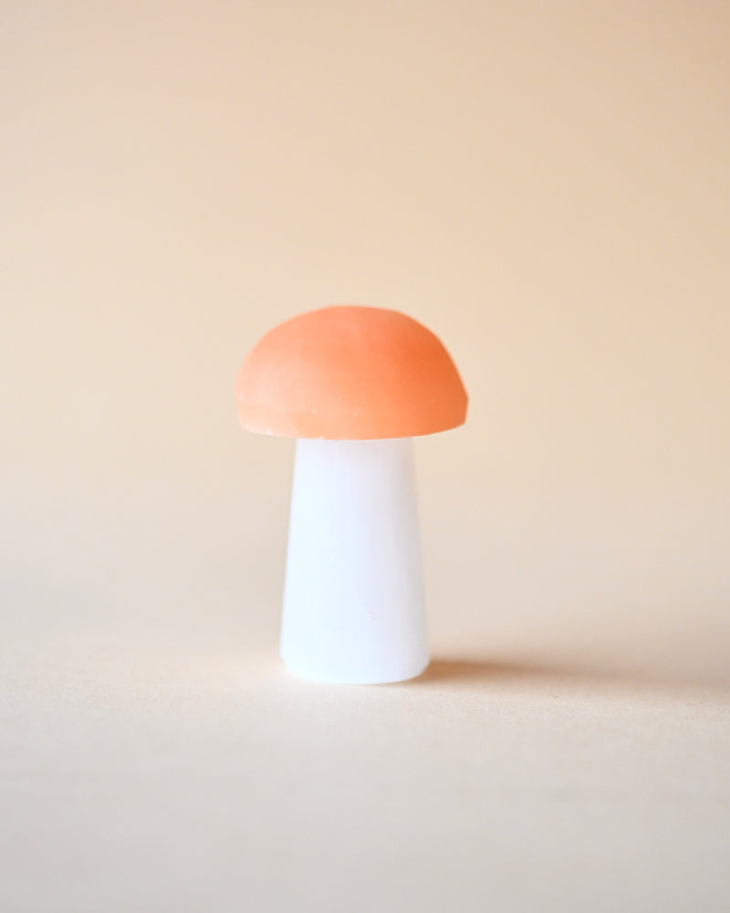 Two-Tone Selenite Mushroom