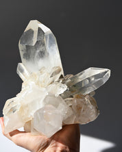 Citrine Quartz Cluster 5lbs