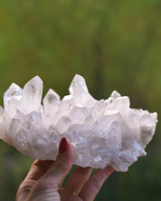 Arkansas Clear Quartz Cluster 2.175 lb - in hand showing scale