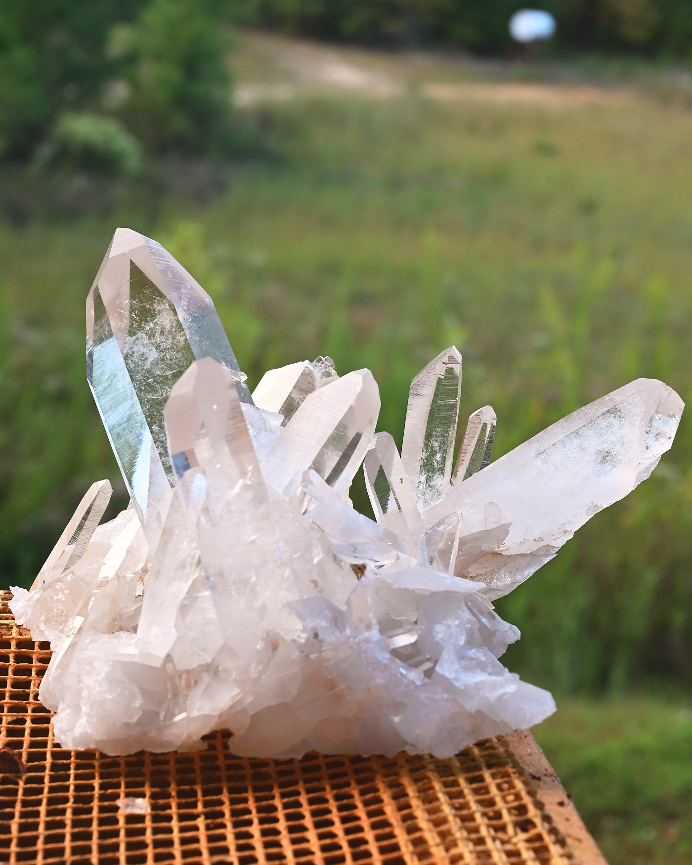 Arkansas Clear Quartz Cluster 2.995 lb — top