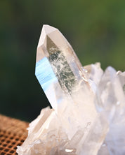 Arkansas Clear Quartz Cluster 2.995 lb - macro of main crystal point