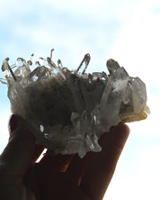 Quartz Cluster 185g