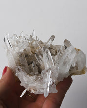 Quartz Cluster 185g