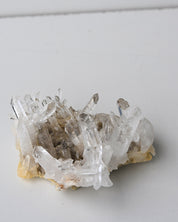 Quartz Cluster 185g