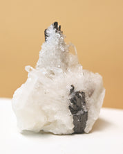Hubnerite with Quartz 3in