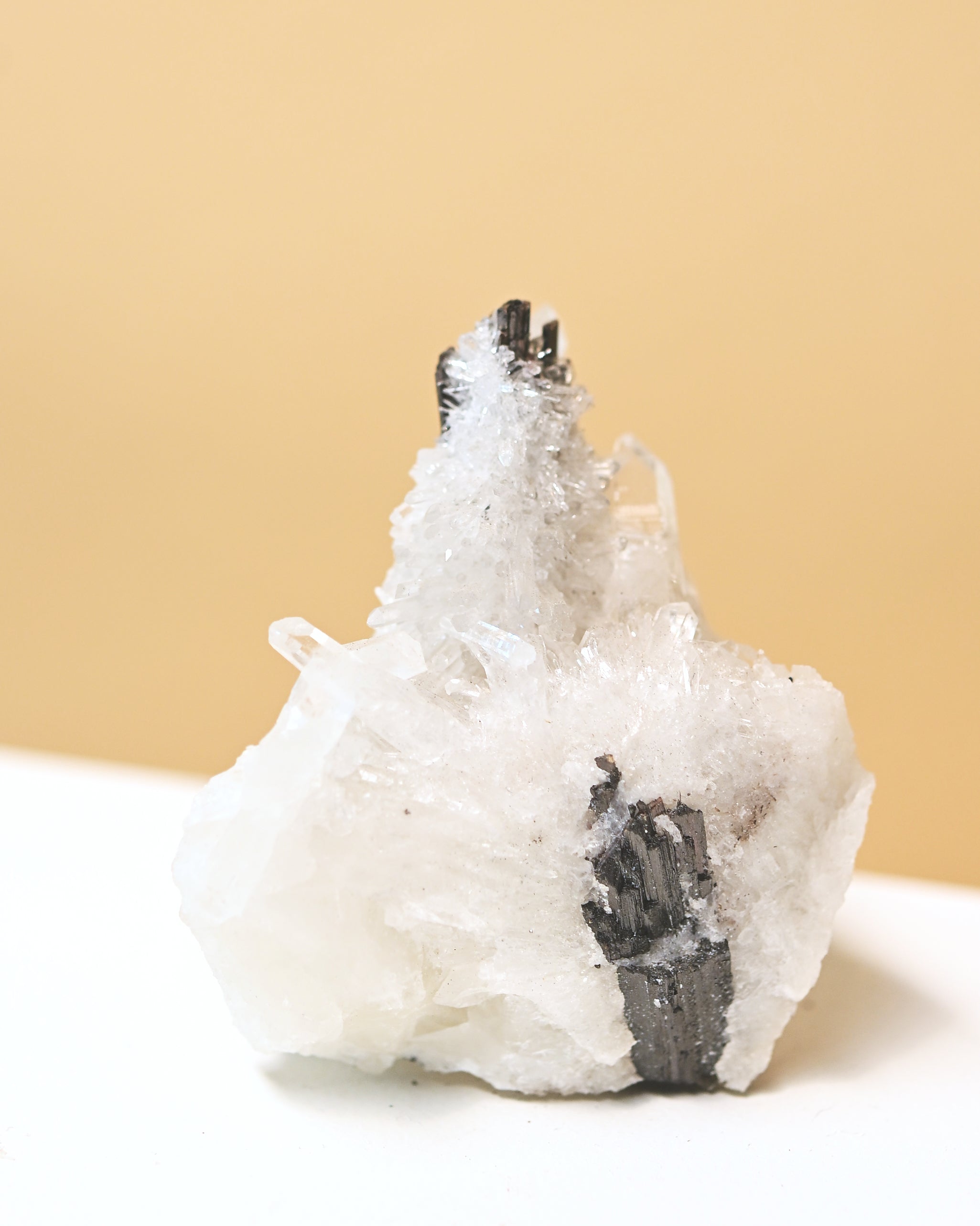 Hubnerite with Quartz 3in
