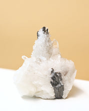 Hubnerite with Quartz 3in