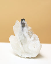Hubnerite with Quartz 3in
