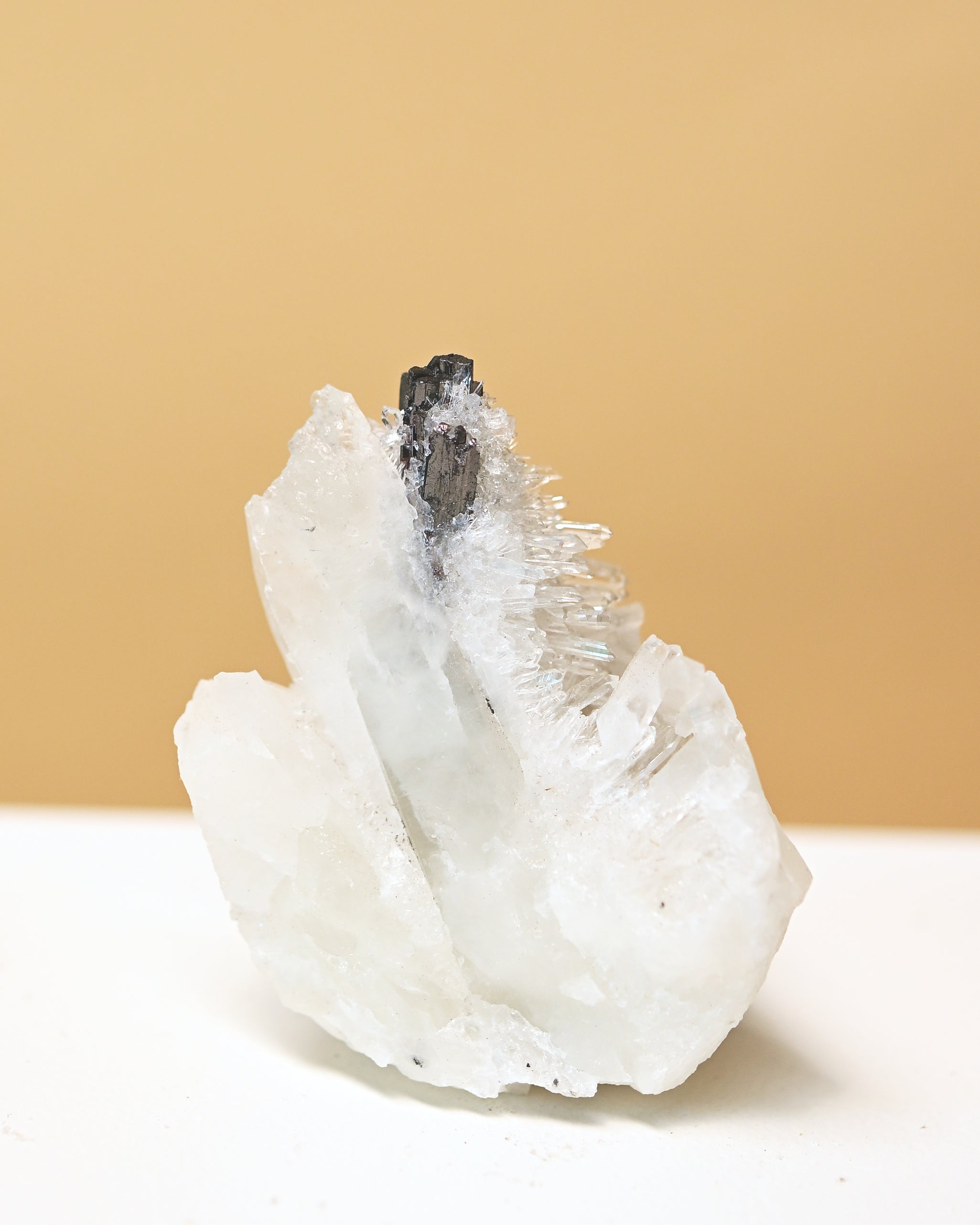 Hubnerite with Quartz 3in