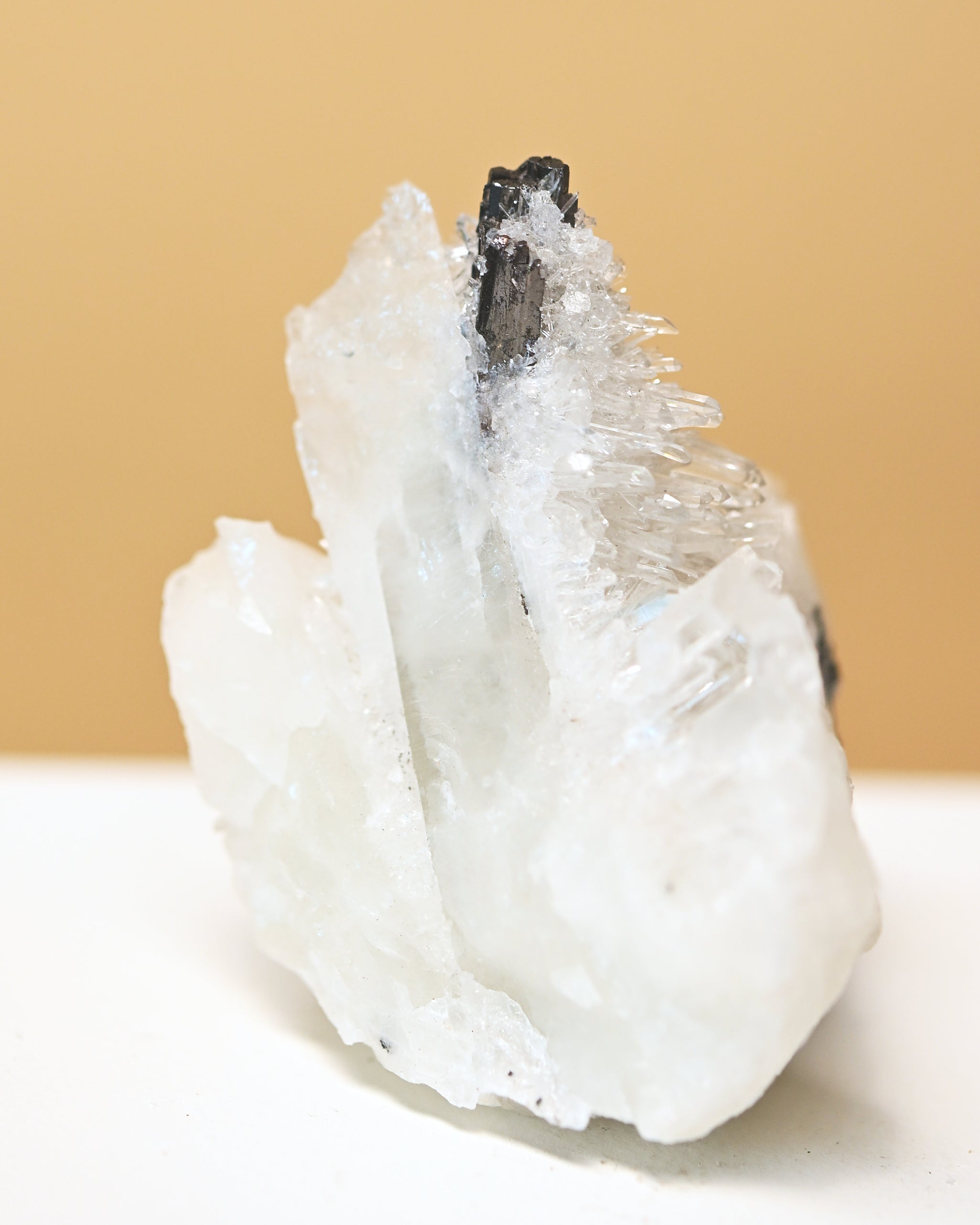 Hubnerite with Quartz 3in