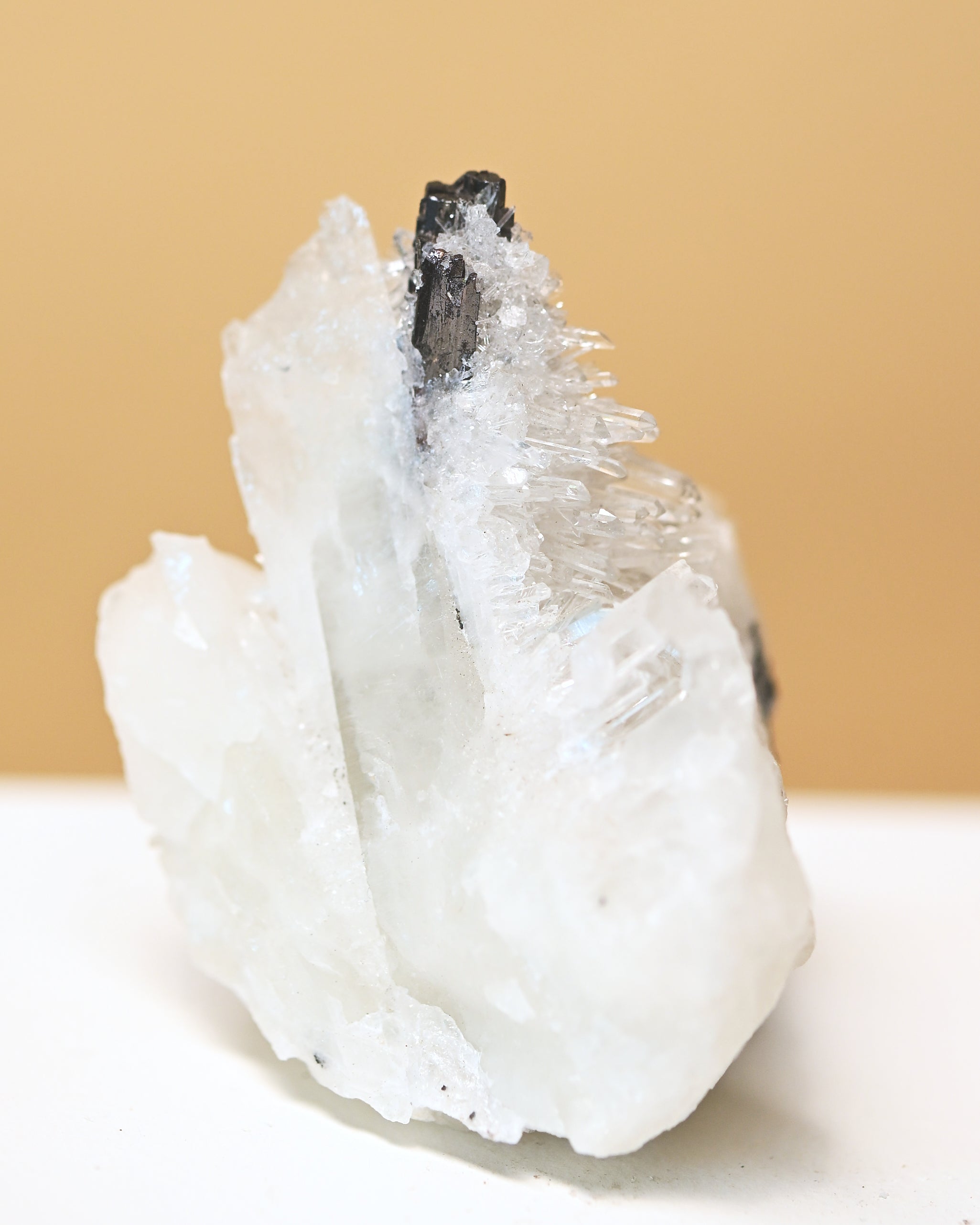 Hubnerite with Quartz 3in