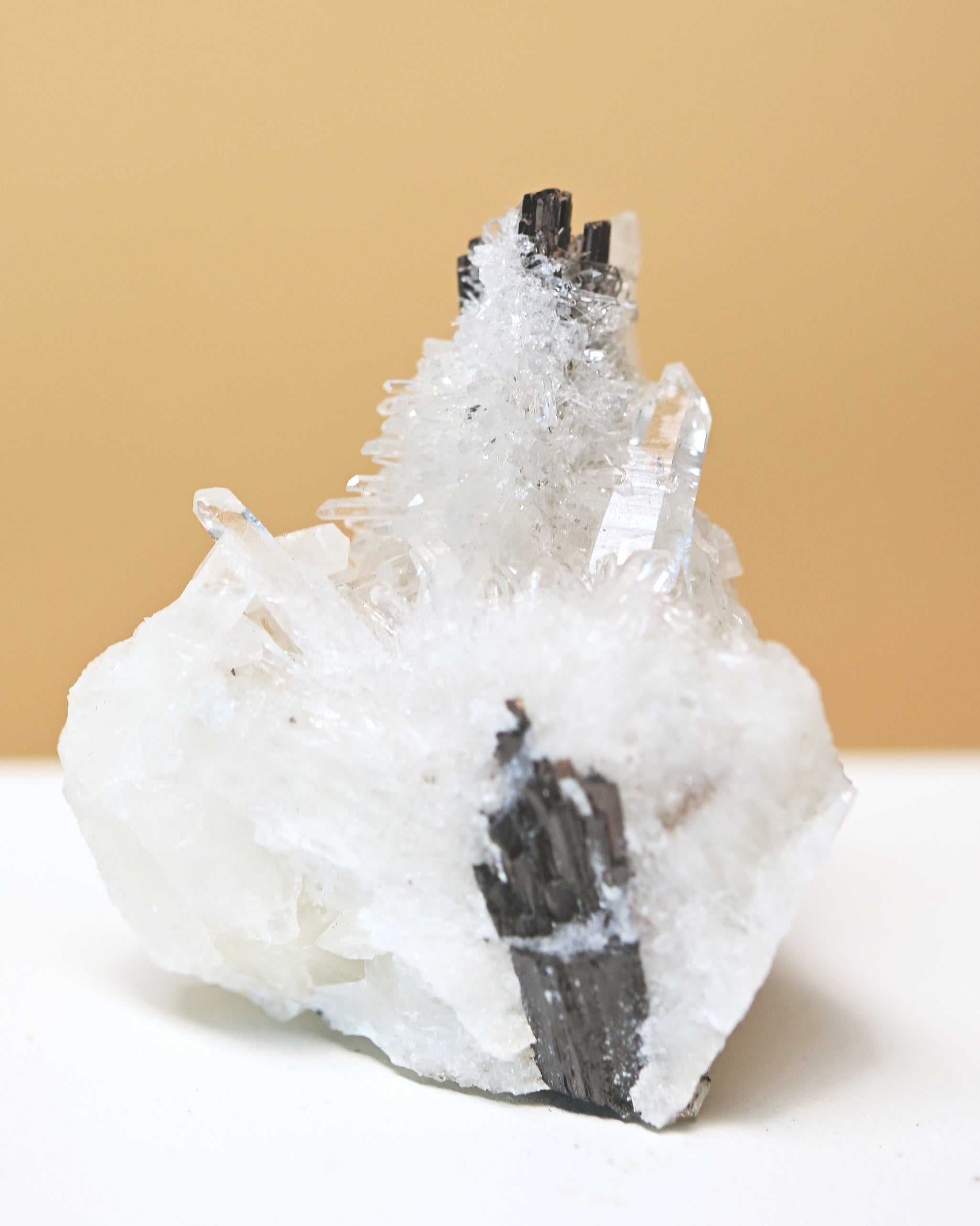 Hubnerite with Quartz 3in