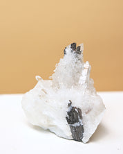 Hubnerite with Quartz 3in