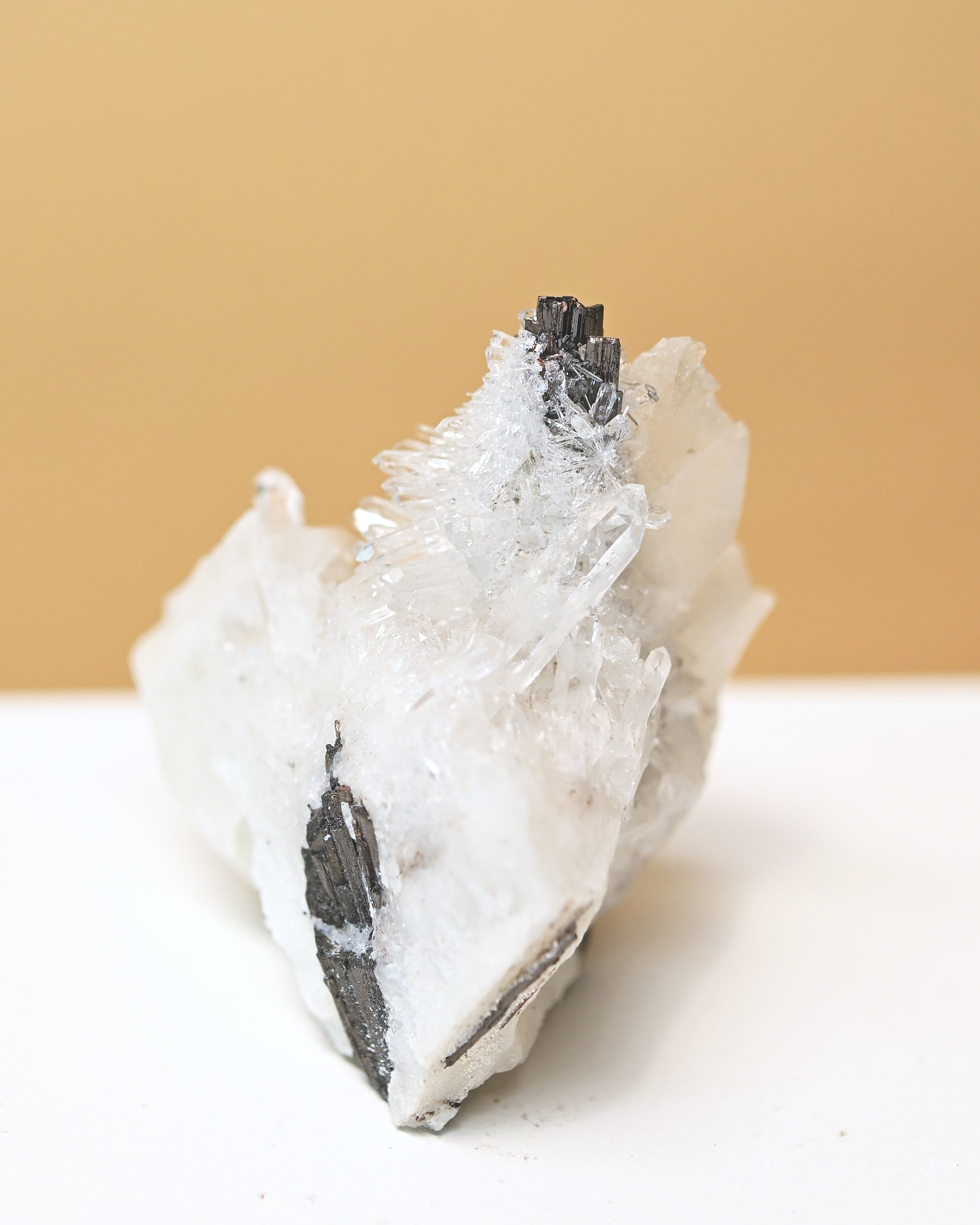 Hubnerite with Quartz 3in
