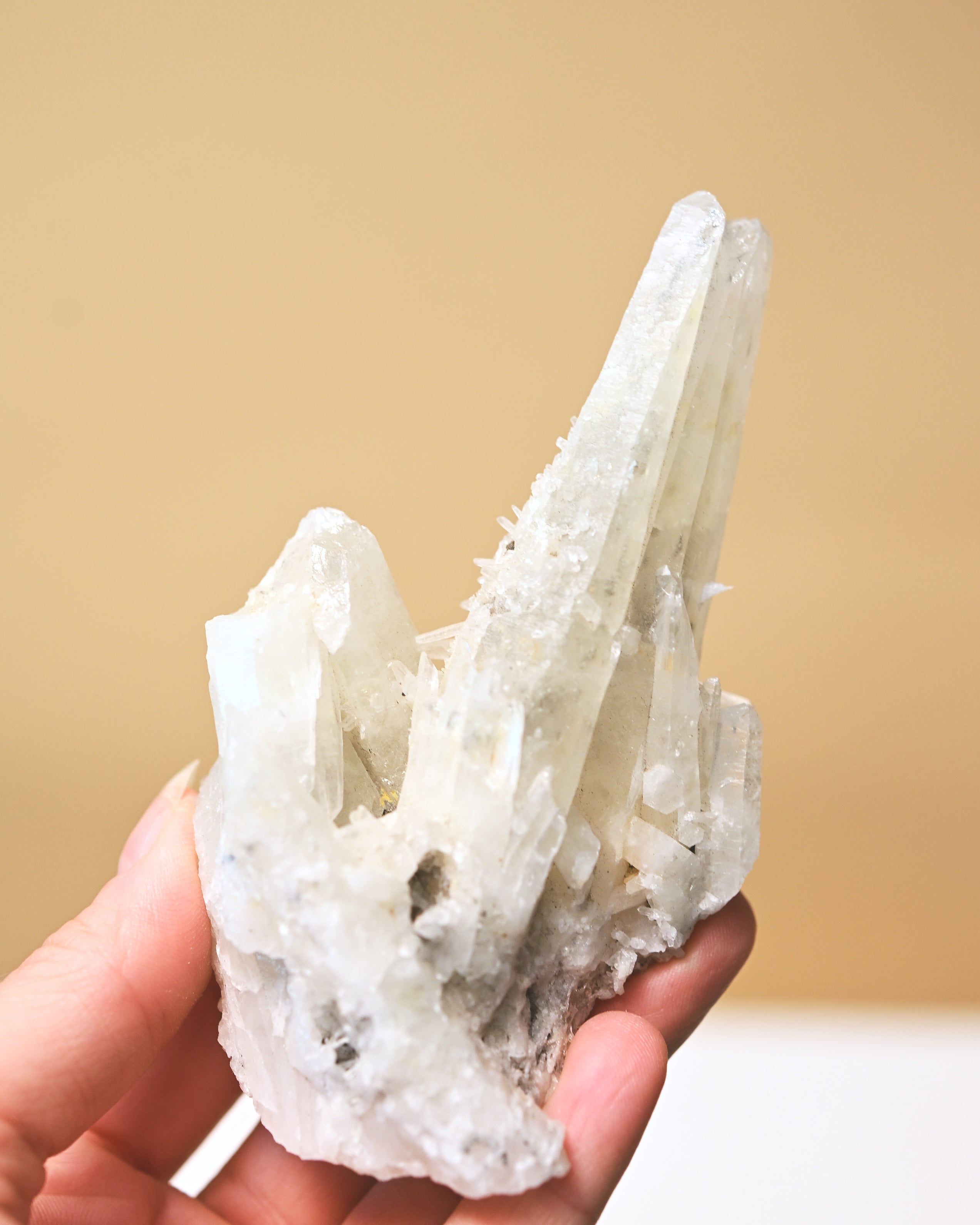quartz-200-154--4x2--7154.jpg