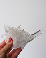 Quartz Cluster 343g