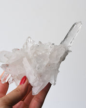 Quartz Cluster 343g