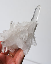 Quartz Cluster 343g