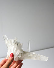 Quartz Cluster 383g