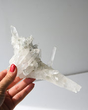 Quartz Cluster 383g