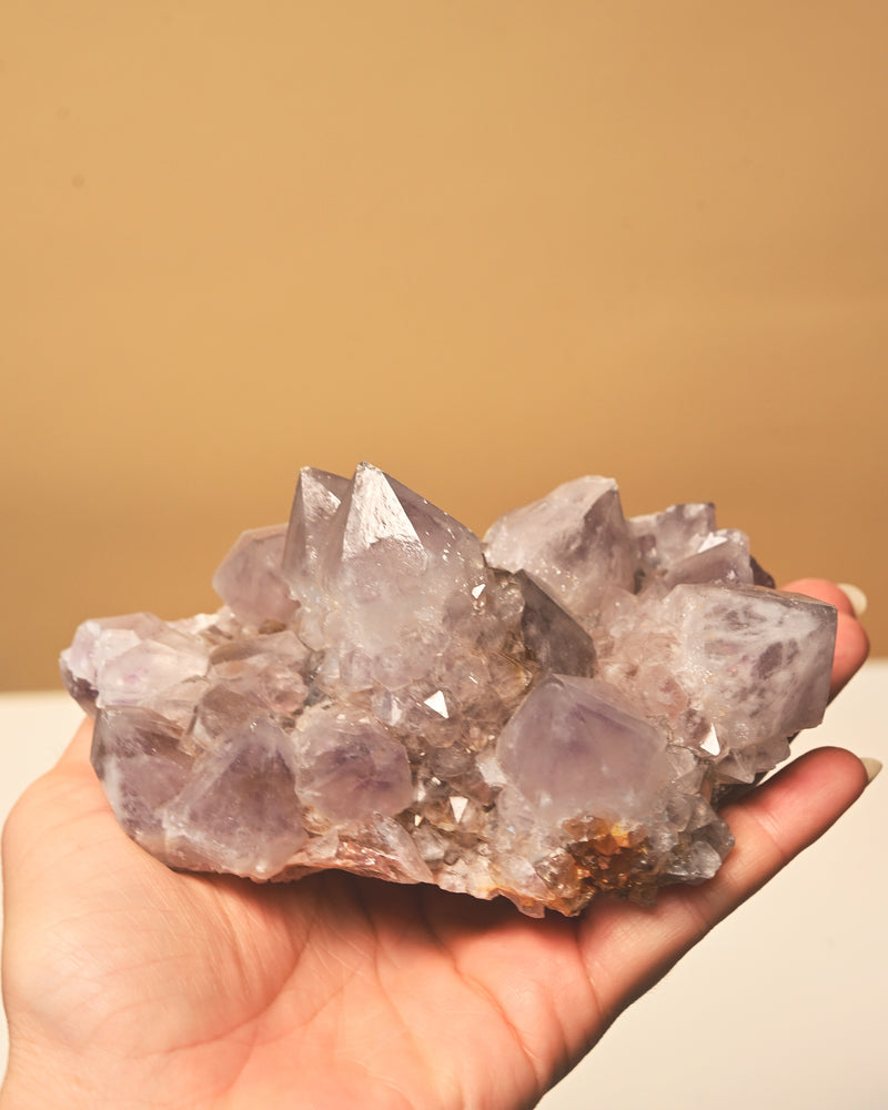 Amethyst Spirit Cactus Quartz Cluster 4in