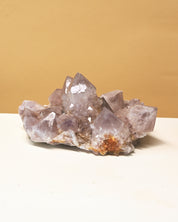 Amethyst Spirit Cactus Quartz Cluster 4in