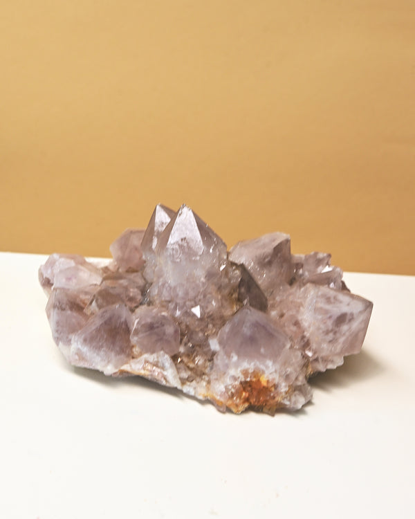 Amethyst Spirit Cactus Quartz Cluster 4in